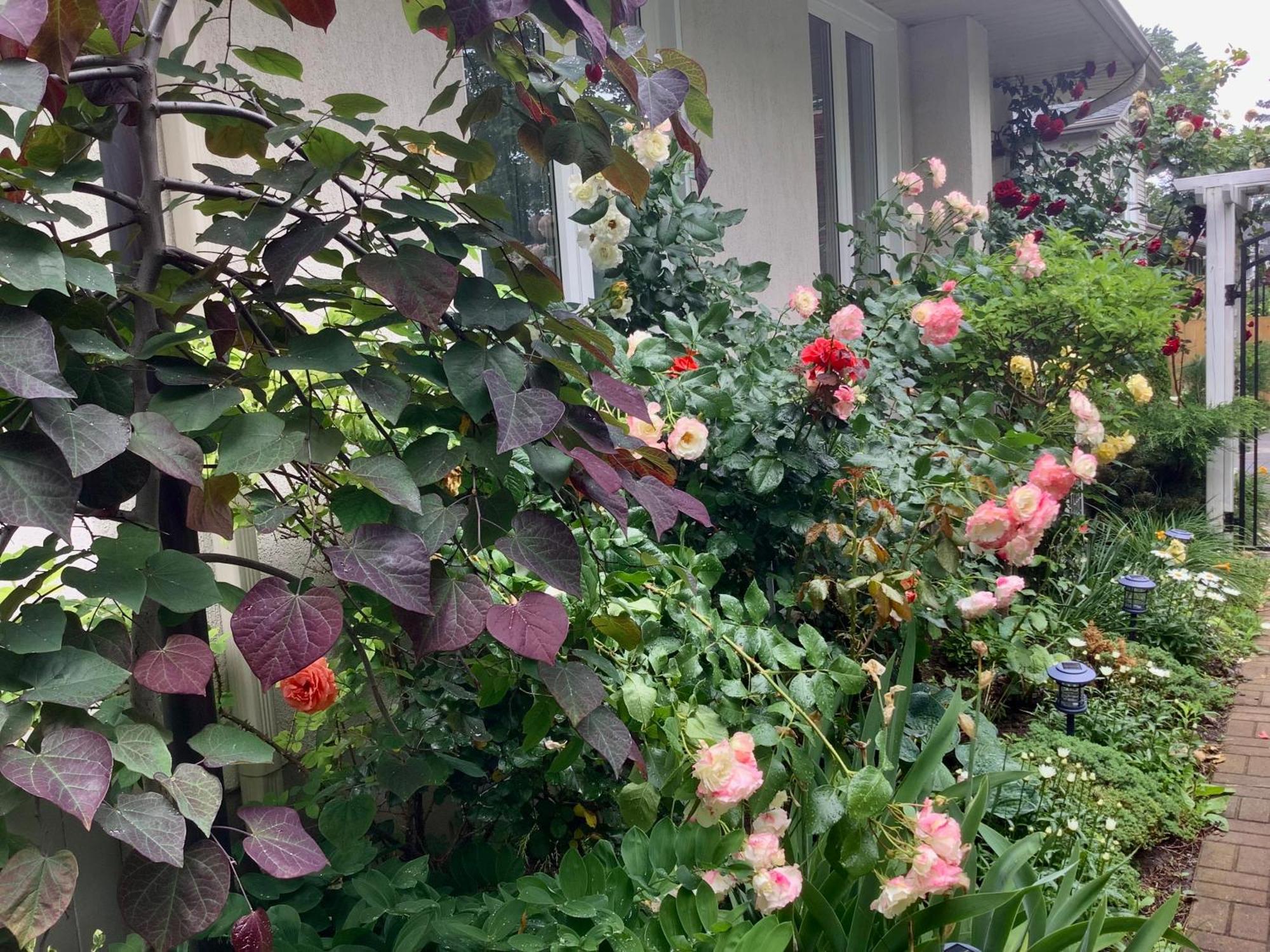 مبيت وإفطار Niagara-on-the-Lake Via Veneto - Old Town المظهر الخارجي الصورة